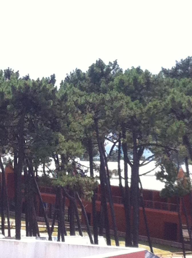 Beach House Cabedelo Βιάνα ντο Καστέλο Εξωτερικό φωτογραφία